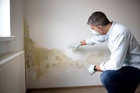 Asbestos and Lead Testing During Mold Inspection in Citrus City, TX